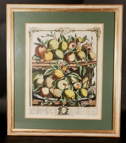 Antique Engravings 18th Century Botanical Engraving, The Twelve Months of Fruit- April, Henry Fletcher fro Robert Furber, Dated 1732 $950