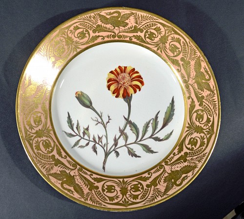 Inventory:  Derby Factory, Antique Derby Porcelain Salmon Plate, French Marigold, John Brewer, Circa 1815, $750