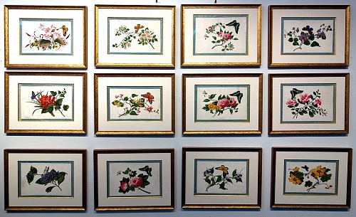 Inventory:  China Trade, China Trade Botanical Studies Set of Twelve with Insects by Youqua Painter Old Street No. 34, Circa 1840-50, $18,000