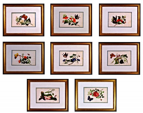 Inventory:  China Trade, China Trade Framed Pith Paper Set of Pictures of Butterflies and Plants, 1840-50, $7,000