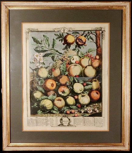 Inventory:  Antique Engravings, 18th Century Botanical Engraving, The Twelve Months of Fruit- May, Henry Fletcher fro Robert Furber, Dated 1732, SOLD •