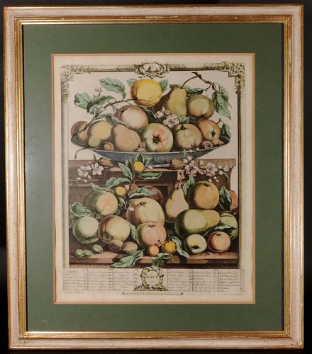 Antique Engravings 18th Century Botanical Engraving, The Twelve Months of Fruit- March, Henry Fletcher for Robert Furber, Dated 1732 SOLD •