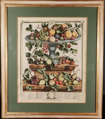 Inventory:  Antique Engravings, 18th-century Botanical Engraving, The Twelve Months of Fruit- June, Henry Fletcher for Robert Furber, Dated 1732, Dated 1732, SOLD •