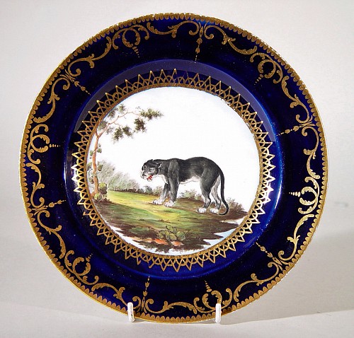 Inventory:  Coalport Factory, Coalport Porcelain Pate with Wild Cat from the Animal Service, Circa 1805, SOLD •