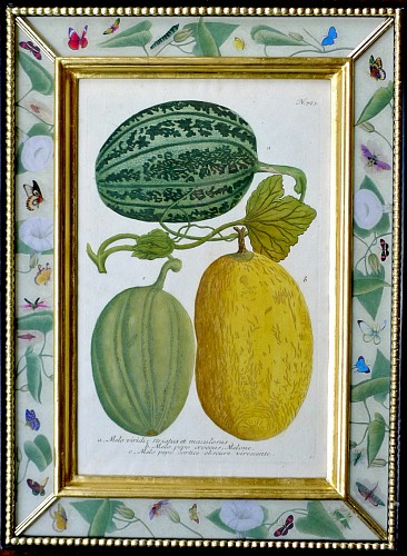 Johann Wilhelm Weinmann Johann Wilhelm Weinmann Print of Watermelons, 1740 SOLD •