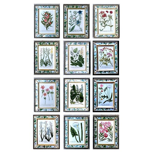 Johann Wilhelm Weinmann Johann Weinmann Botanical Framed Engravings- A Set of Twelve (12), 1740 $25,000