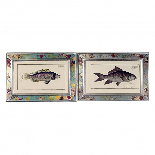 Inventory:  Marcus Bloch, Engravings of Fish by Marcus Bloch,  (Two), Circa 1780, $2,000