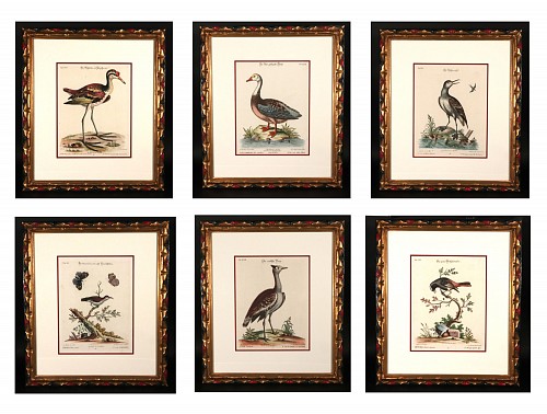 Inventory: Johann Seligmann, Johann Seligmann Set of Six Engravings of Water Birds, 1770, $7,500