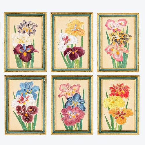 Set Watercolor Paintings of Iries, 20th Century $7,500