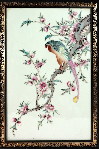 Inventory:  Chinese Porcelain, Chinese Porcelain Framed Famille Rose Plaque of Long Tailed Hawk on a Rose Tree Branch, 20th Century, $3,000