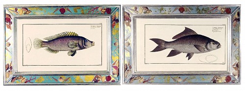 Inventory:  Marcus Bloch, Engravings of Fish by Marcus Bloch,  (Two), Circa 1780, $2,000