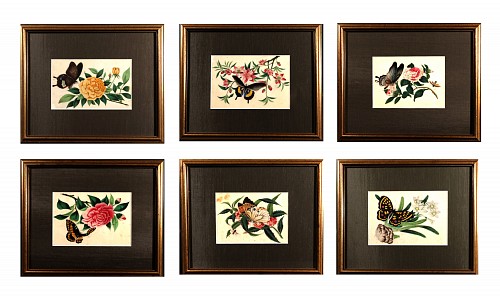 China Trade China Trade Pith Paper Paintings of Fruit and Butterflies, A Set of Six, 1850 $4,500