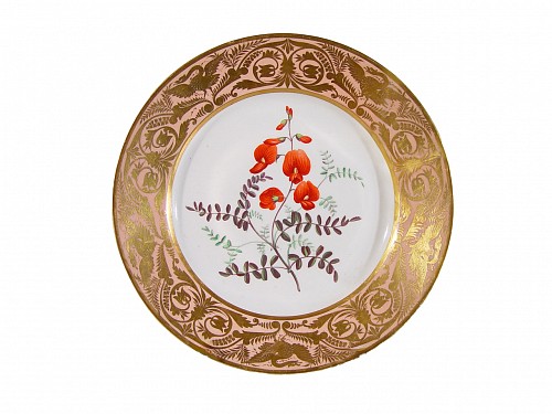 Inventory:  Derby Factory, Antique Derby Porcelain Salmon Ground  Plate, A Small Leaved Bladder Senna, by John Brewer, Circa 1815, $150