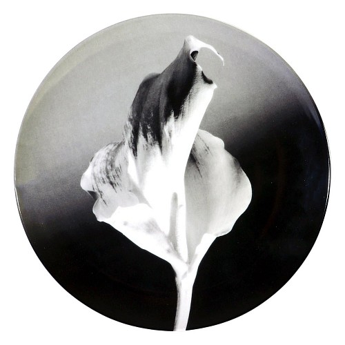 Robert Mapplethorpe Robert Mapplethorpe Botanical Porcelain Plate, Flower, 1986, 1980s $2,500