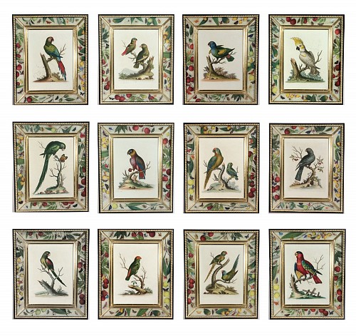 George Edwards !8th-century Engraved Prints of Exotic Birds by George Edwards (12), 1745 $28,500