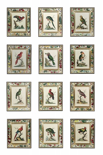 Inventory:  George Edwards, !8th-century Engraved Prints of Parrots by George Edwards, 1745, SOLD &bull;