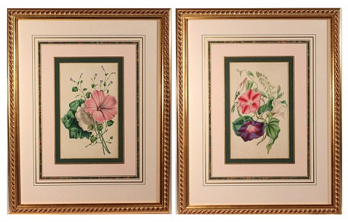 Print Robert Mackenzie Stark Pair of Botanical Prints, 1858 $1,250