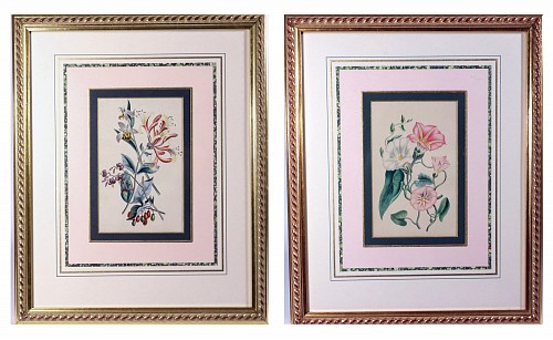 Print Robert Mackenzie Stark Pair of Botanical Prints from &acirc;Lessons from the Vegetable World&acirc;, 1858