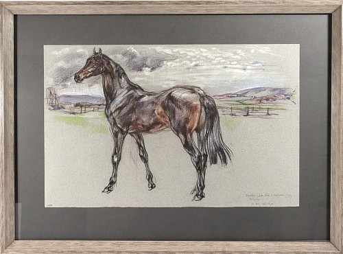 Inventory: Leslie Charlotte Benenson, Original Pastel of a Stallion by Leslie Charlotte Benenson, Dated May 16, 1986, Dated May 16, 1986, $1,500