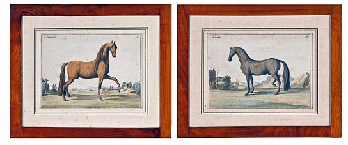 Baron D'Eisenberg Prints of Horses By Baron D'Eisenberg, Published in 1747 SOLD &bull;