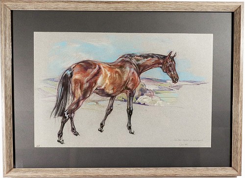 Inventory: Leslie Charlotte Benenson, Horse Pastel Painting by Leslie Charlotte Benenson of Erin Star. 3/4 bred Irish mare aged 18. / 1 June 1985, Dated 1st June 1985, $1,500
