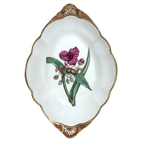 Inventory:  Spode Factory, Spode Porcelain Botanical Specimen Dish with a Spiderwort Plant after William Curtis, 1810-20, $1,500