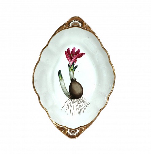 Spode Factory Spode Porcelain Botanical Dish depicting Spring Meadow Saffron, After William Curtis, 1810-20 $1,500