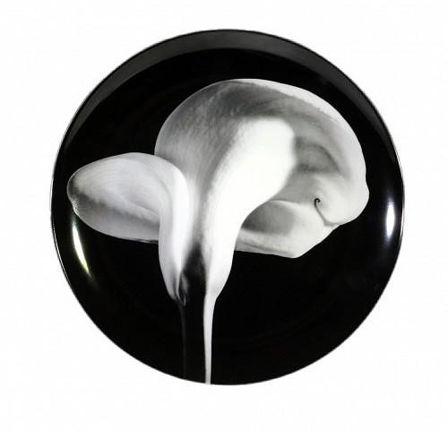 Robert Mapplethorpe Robert Mapplethorpe Botanical Porcelain Plate, Calla Lily, 1984, 1984 $1,500