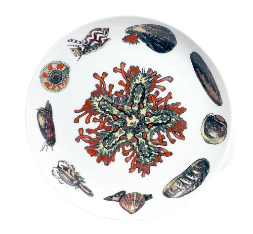 Piero Fornasetti Piero Fornasetti Porcelain Plate, Conchiglie Pattern, Number 2, Coral and Shells,  Milan, Circa 1960&acirc;1970, 1960-70s $650