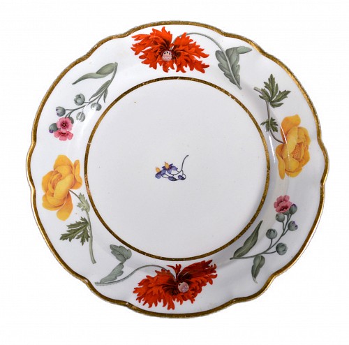 Flight, Barr & Barr Factory Flight & Barr Worcester Porcelain Botanical Plate, 1792-1804 $650