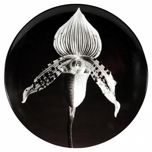 Inventory:  Robert Mapplethorpe, Robert Mapplethorpe Botanical Porcelain Plate, Orchid, 1987, 1980s, $1,250