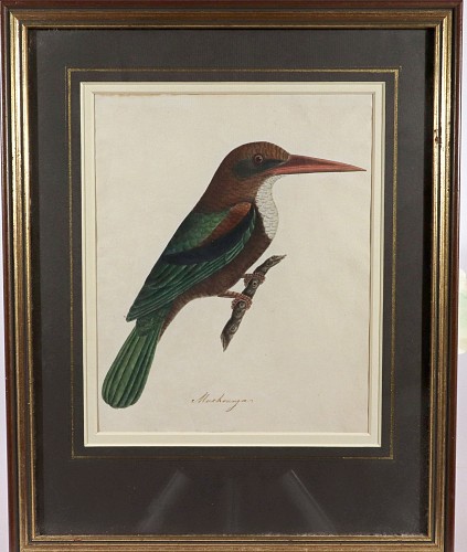 East India Company School East India Company School Watercolor of a White-throated Kingfisher Inscribed &acirc;Muchrunga&acirc;, 1800-1820 $4,000
